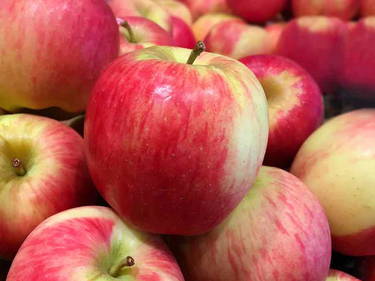 4: Fresh Ambrosia Apples by the 1/2 kilo