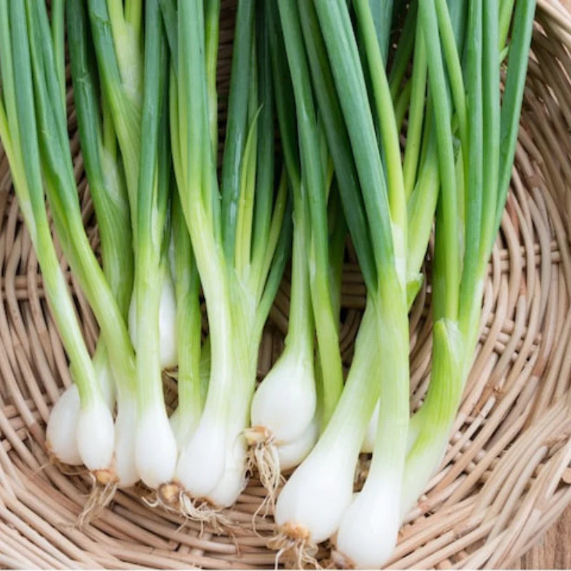 7 a: Onion bunches